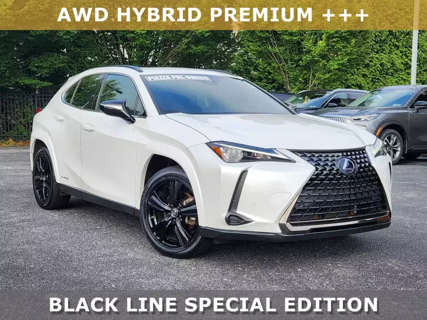2021 Lexus UX 250h photo 1