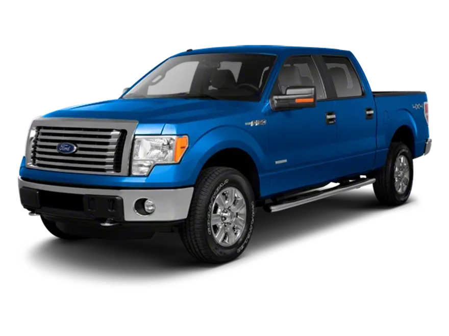 2010 Ford F-150 Base photo 1