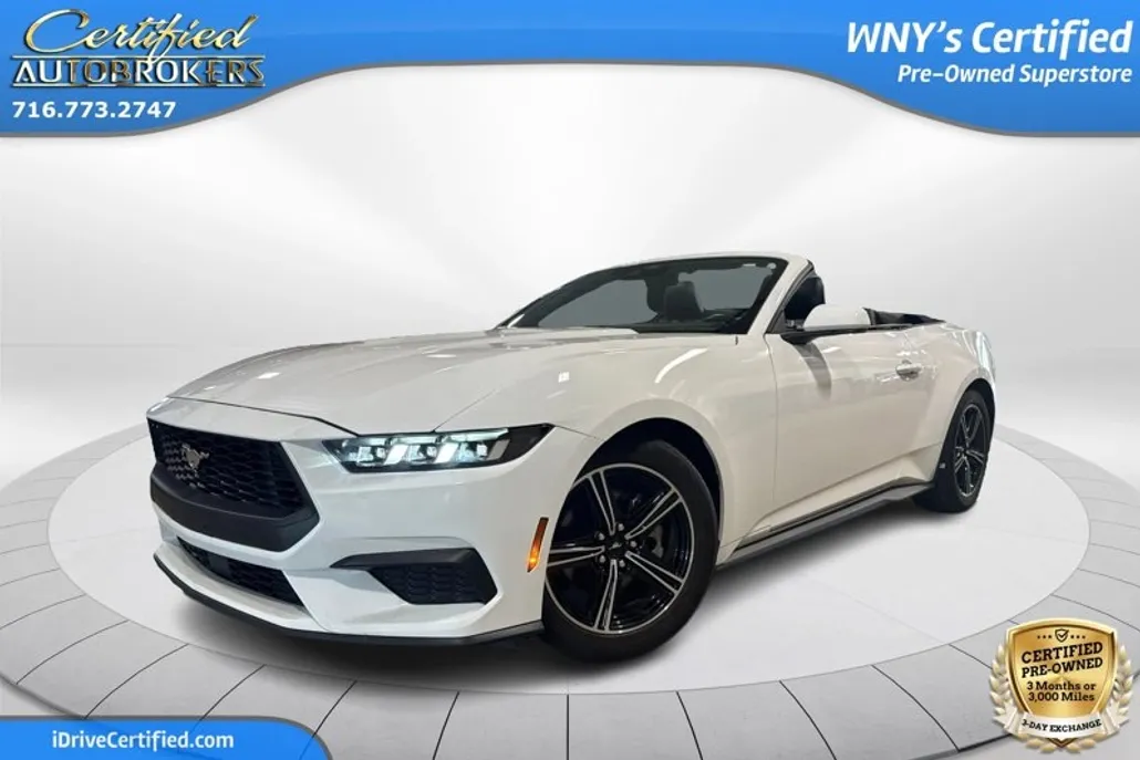 2024 Ford Mustang EcoBoost Premium Convertible photo 1