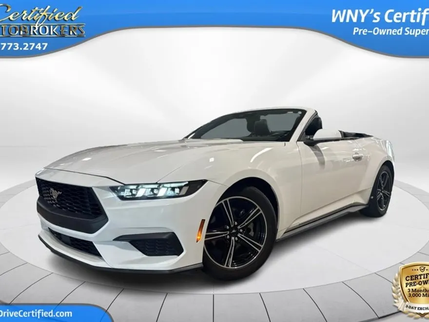 2024 Ford Mustang EcoBoost Premium Convertible photo 1