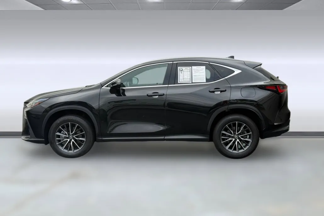2024 Lexus NX 250 Premium photo 1
