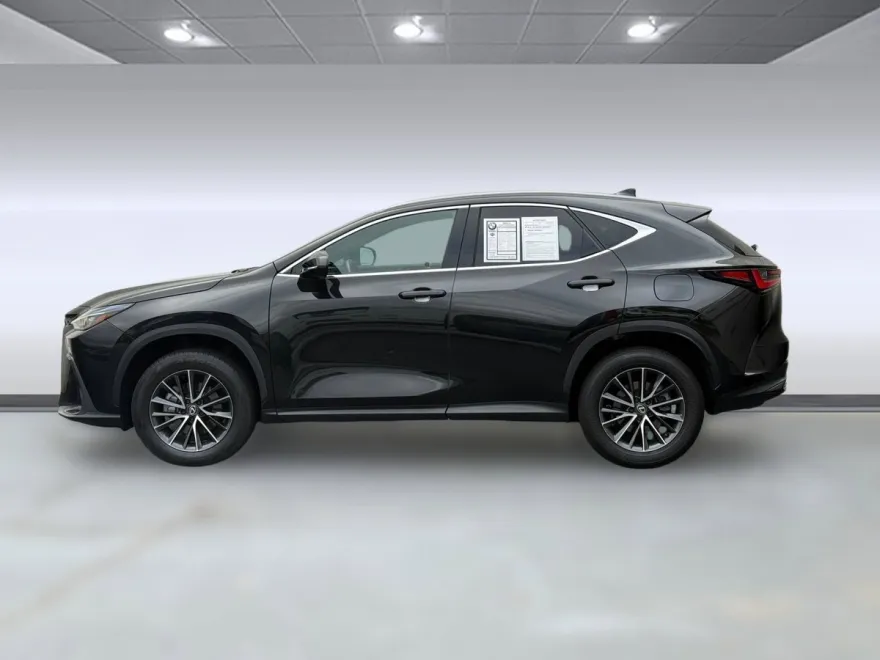 2024 Lexus NX 250 Premium photo 1