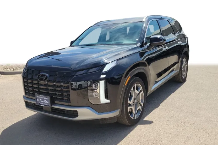 2025 Hyundai Palisade Limited photo 1