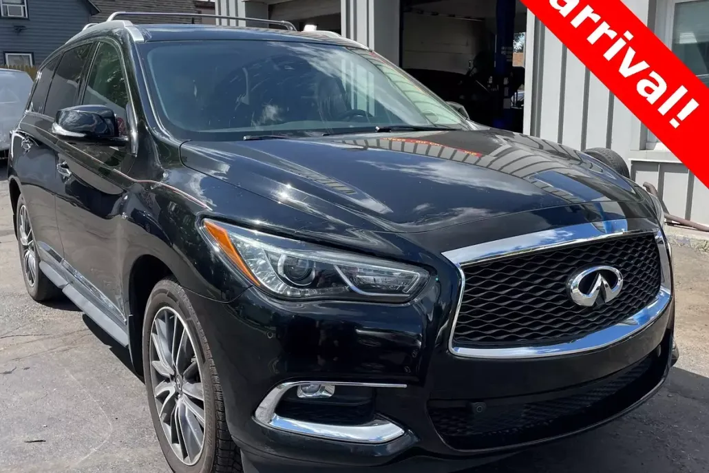 2019 Infiniti QX60 Luxe photo 1