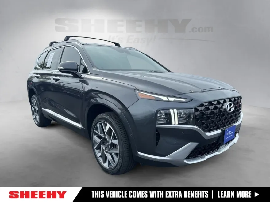 2021 Hyundai Santa Fe Calligraphy photo 1