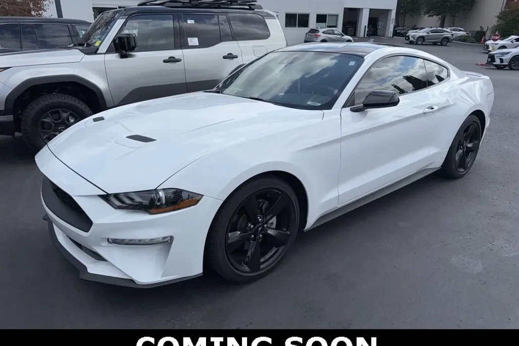 2022 Ford Mustang EcoBoost photo 1