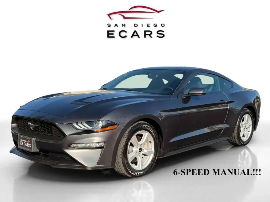 2019 Ford Mustang EcoBoost photo 1