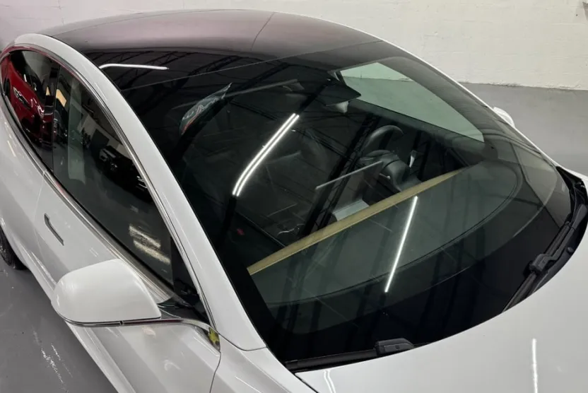 2020 Tesla Model 3 photo 1