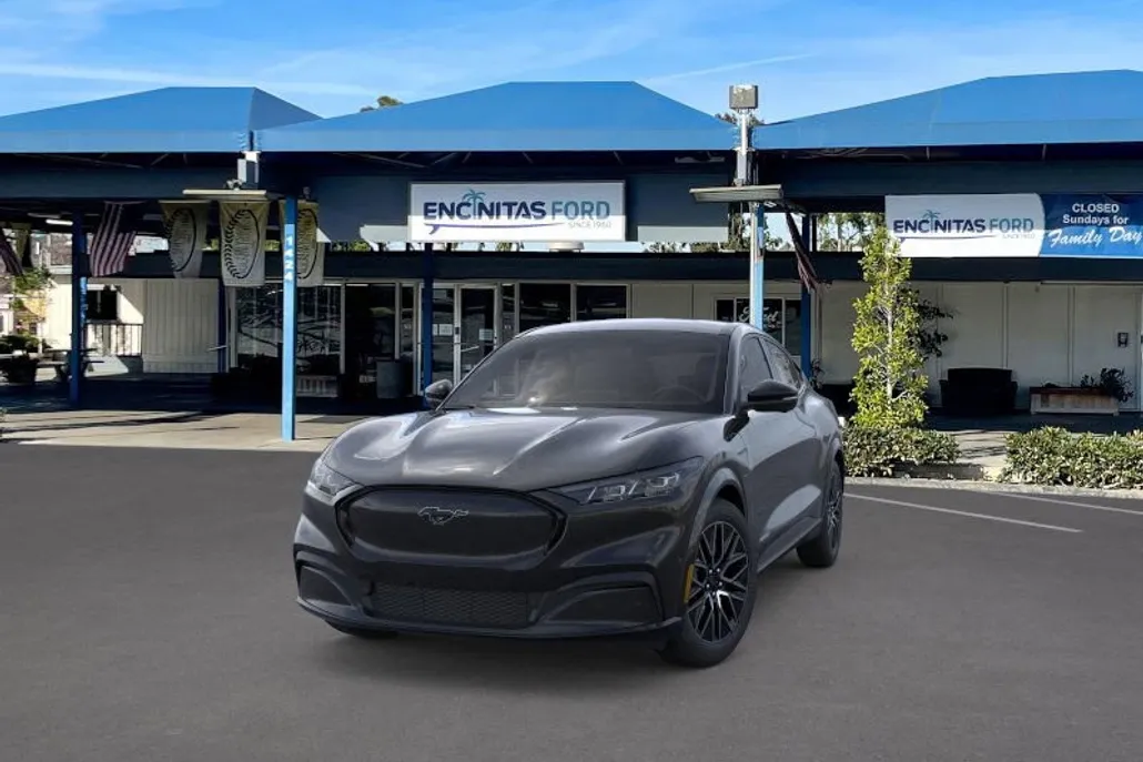 2025 Ford Mustang Mach-E Premium photo 1
