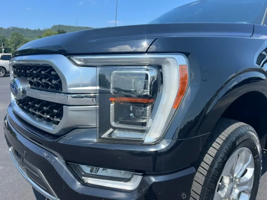 2021 Ford F-150 Platinum photo 11