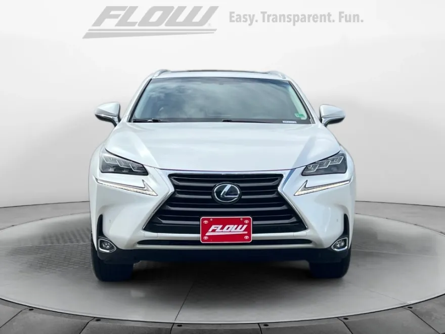 2015 Lexus NX 300h AWD photo 1