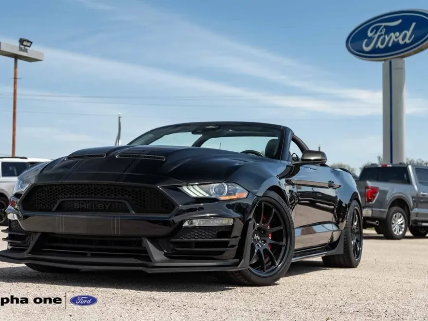 2021 Ford Mustang Shelby photo 1