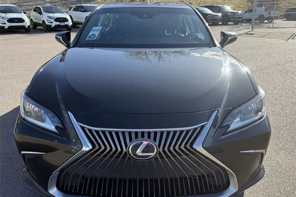 2021 Lexus ES 250 photo 1