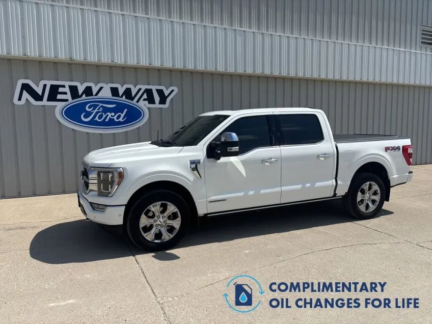 2022 Ford F-150 Platinum photo 1