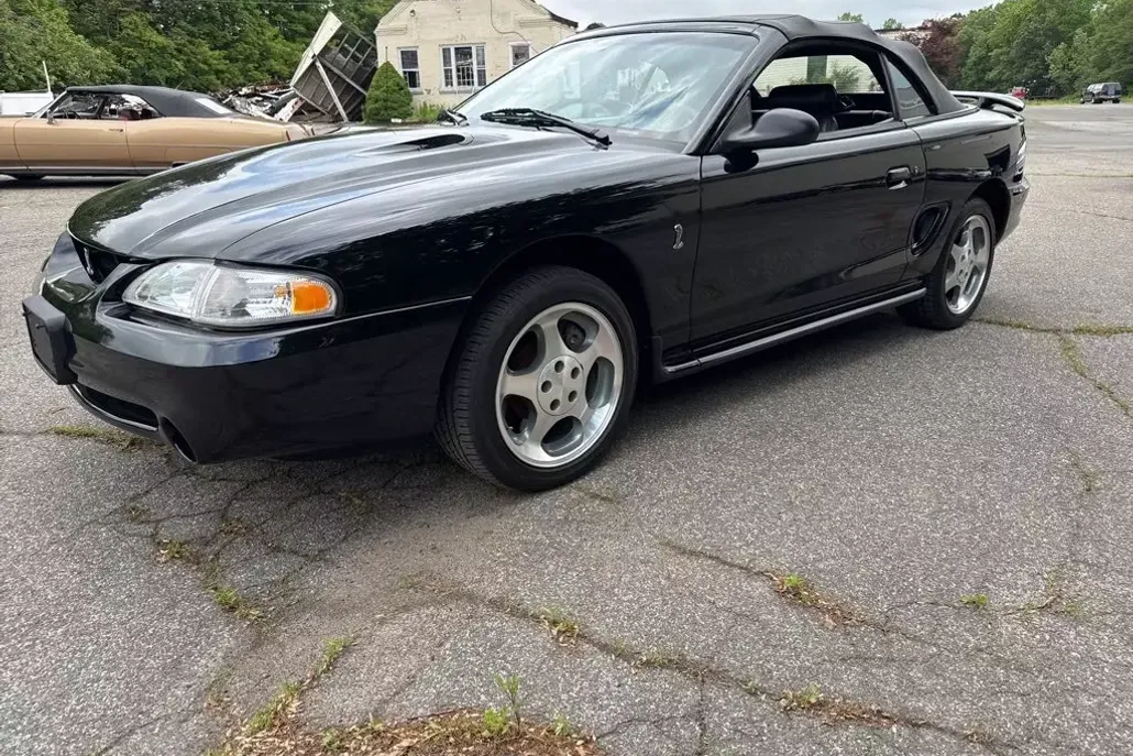 1997 Ford Mustang Cobra photo 1
