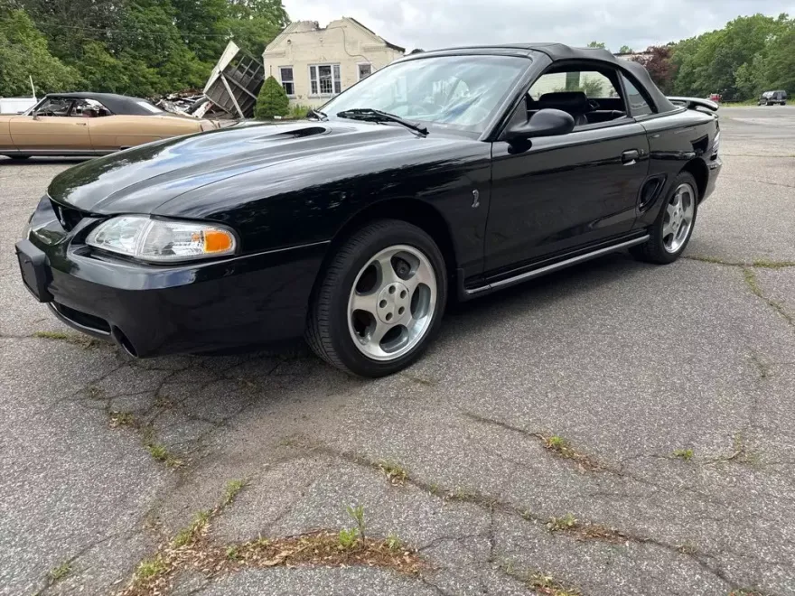 1997 Ford Mustang Cobra photo 1