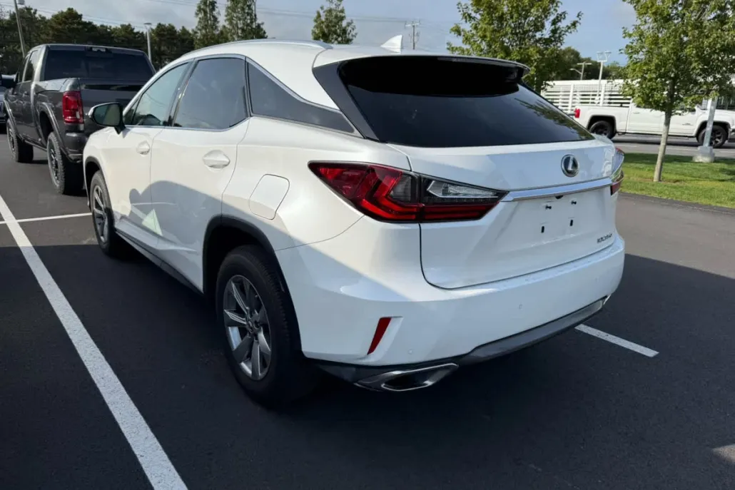 2019 Lexus RX 350 photo 1