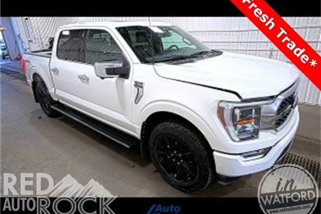 2023 Ford F-150 Platinum photo 1