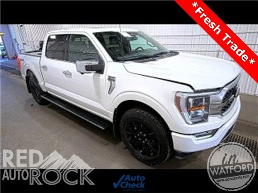 2023 Ford F-150 Platinum photo 1