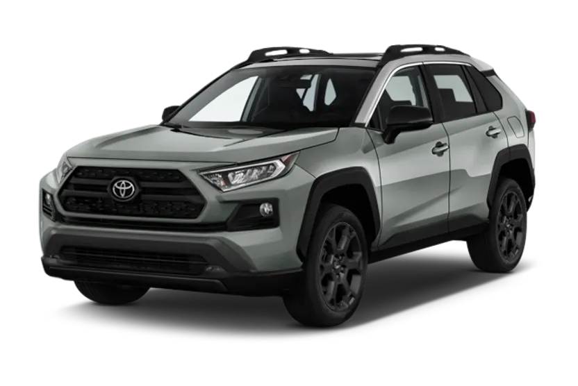 2019 Toyota RAV4 XLE photo 1
