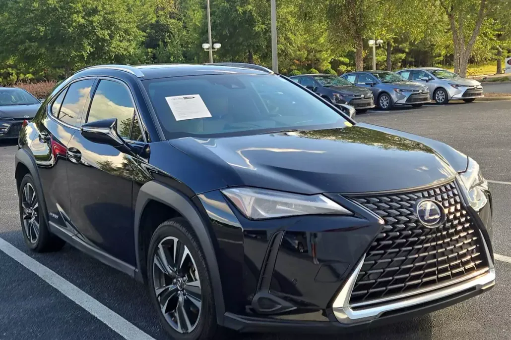 2021 Lexus UX 250h photo 1