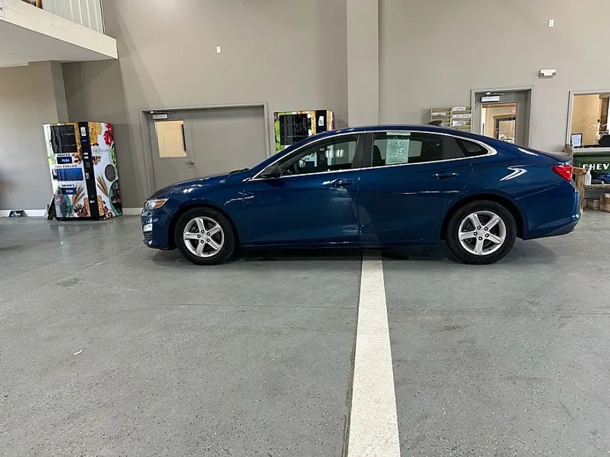 2019 Chevrolet Malibu photo 1