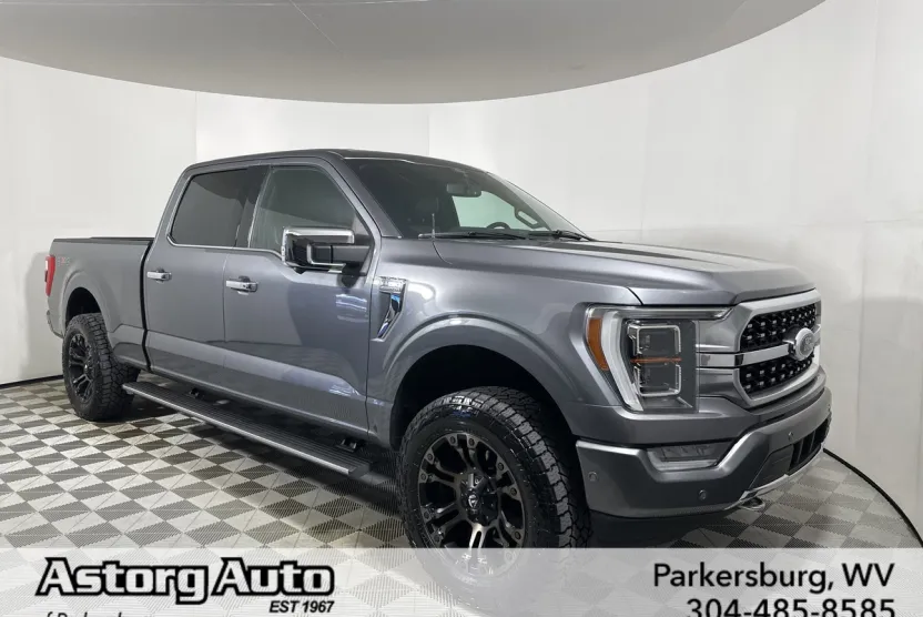2021 Ford F-150 Platinum photo 1