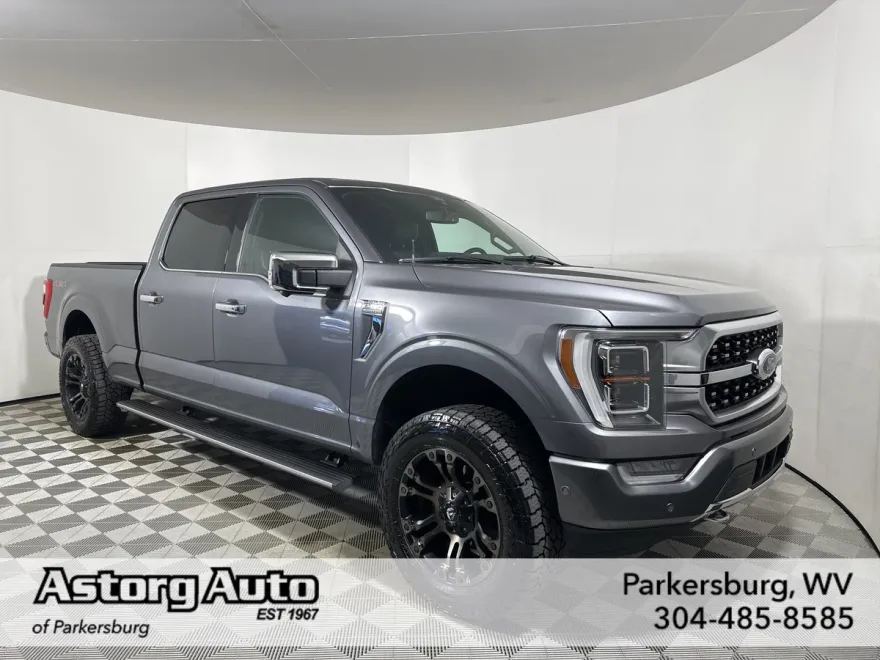 2021 Ford F-150 Platinum photo 1