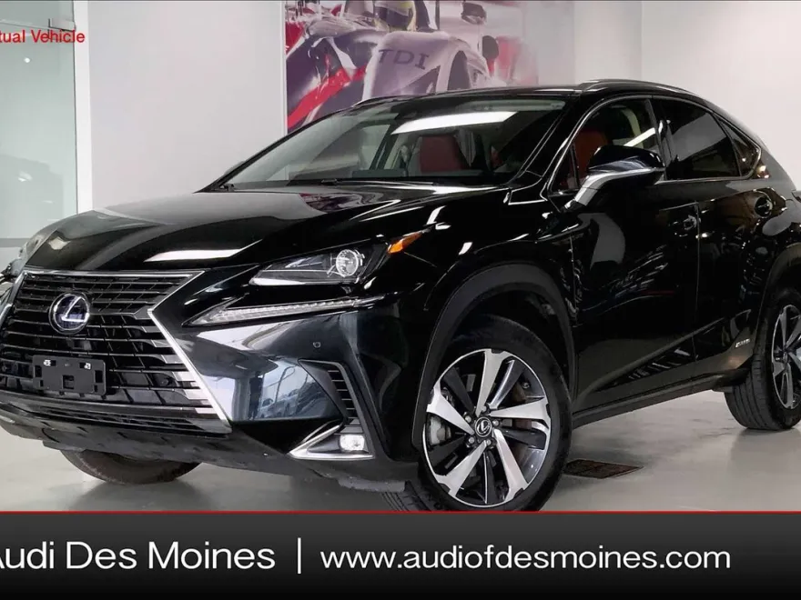 2021 Lexus NX 300h photo 1