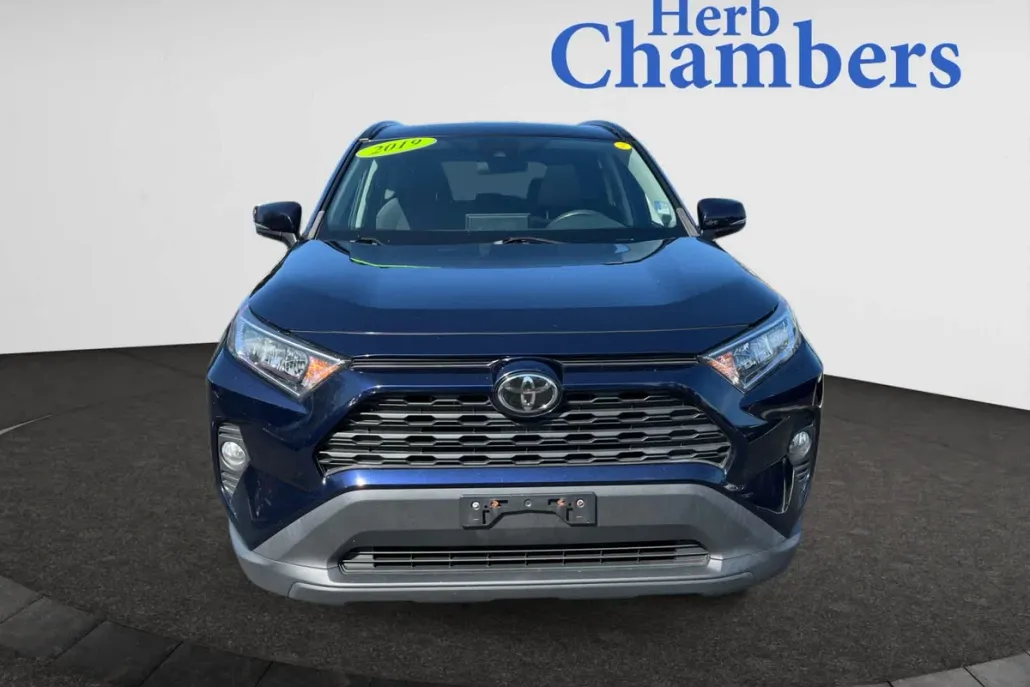 2019 Toyota RAV4 XLE photo 1