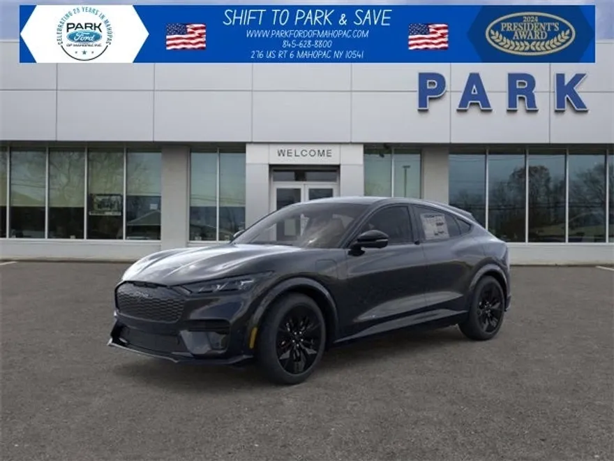 2025 Ford Mustang Mach-E GT photo 1