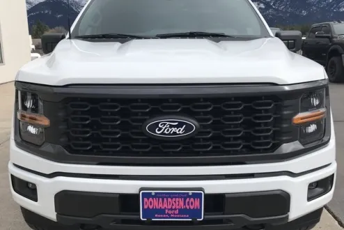 2025 Ford F-150 STX photo 2