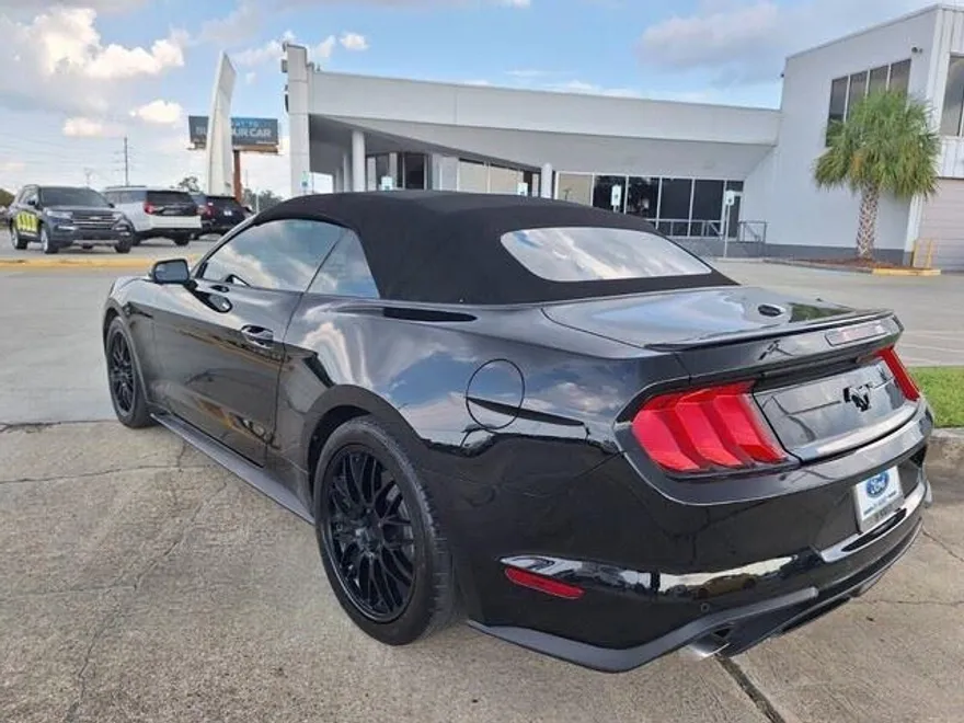 2019 Ford Mustang EcoBoost Premium photo 1