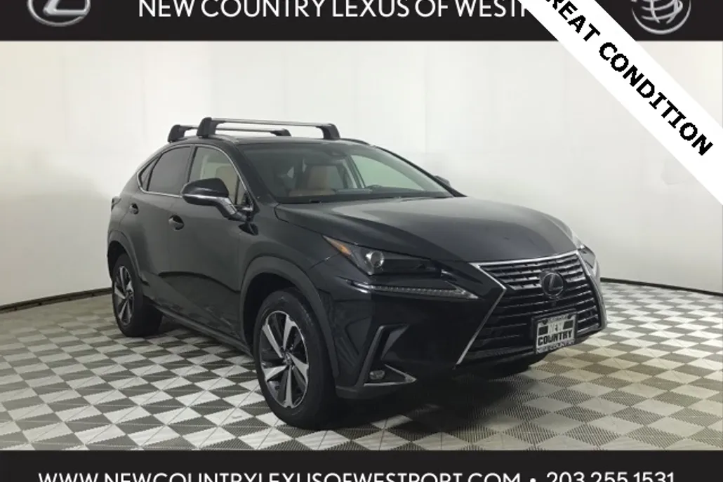 2018 Lexus NX 300 Luxury photo 1