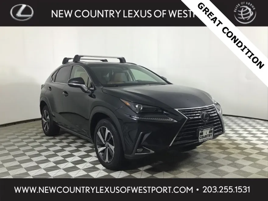 2018 Lexus NX 300 Luxury photo 1