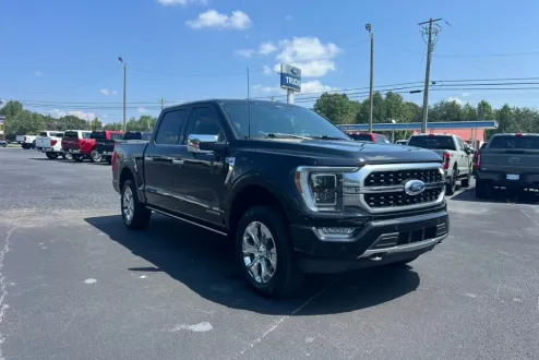 2021 Ford F-150 Platinum photo 3