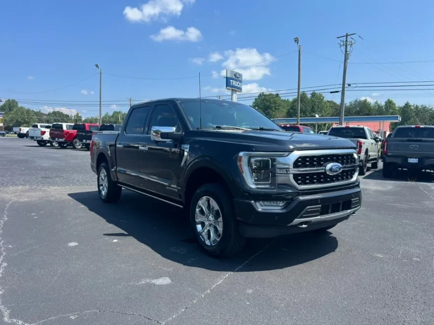 2021 Ford F-150 Platinum photo 3