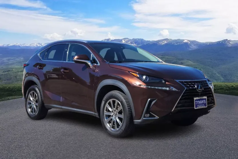 2018 Lexus NX 300 Luxury photo 1