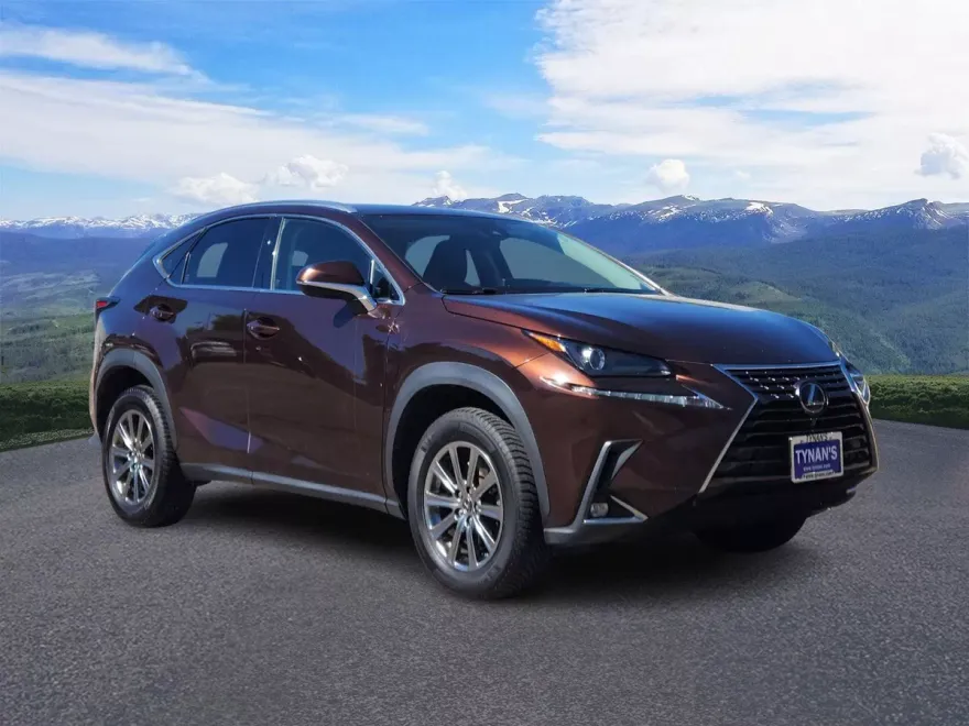 2018 Lexus NX 300 Luxury photo 1