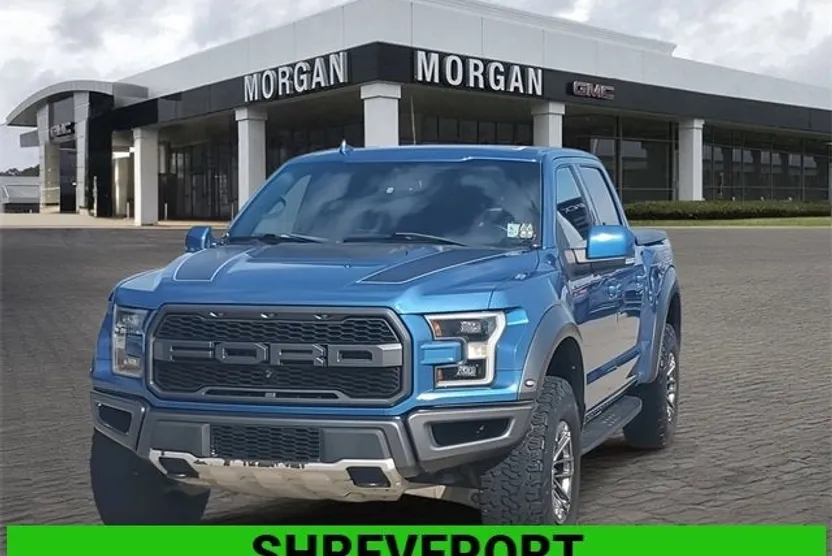 2019 Ford F-150 Raptor photo 1