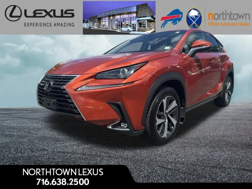 2021 Lexus NX 300 photo 1