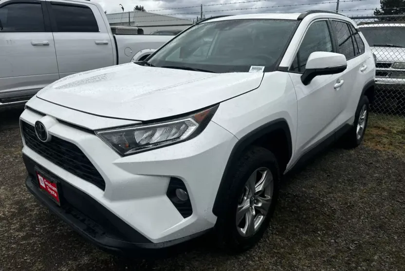 2019 Toyota RAV4 XLE photo 1
