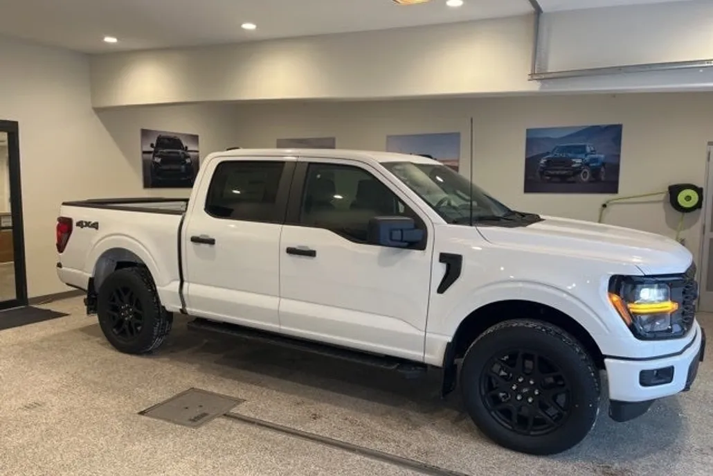 2025 Ford F-150 STX photo 1