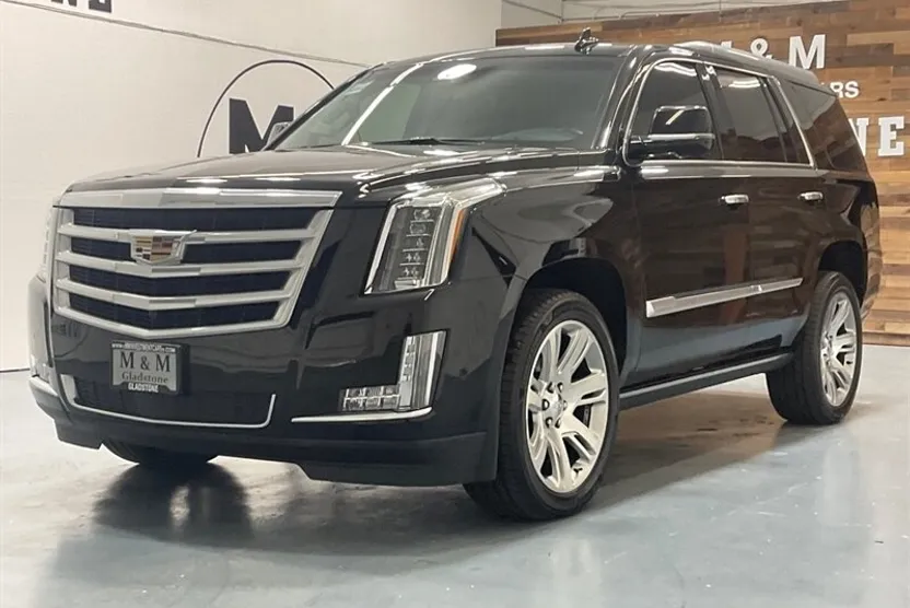 2019 Cadillac Escalade Premium Luxury photo 1