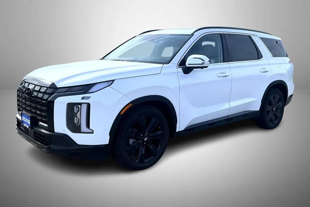 2025 Hyundai Palisade XRT photo 1