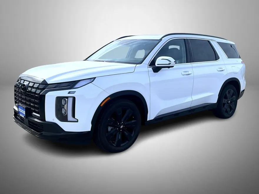 2025 Hyundai Palisade XRT photo 1
