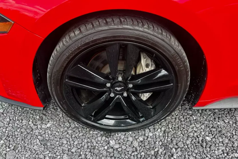 2020 Ford Mustang GT Premium photo 1
