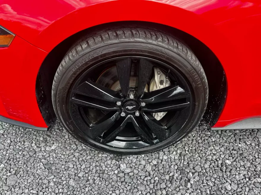 2020 Ford Mustang GT Premium photo 1