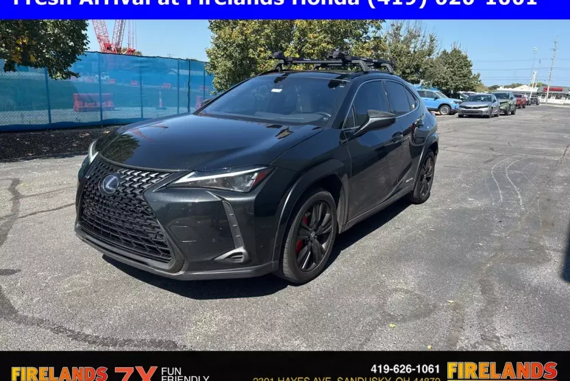 2021 Lexus UX 250h photo 1