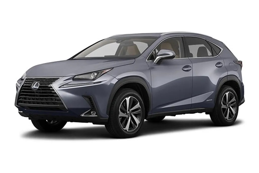 2019 Lexus NX 300h Luxury photo 1